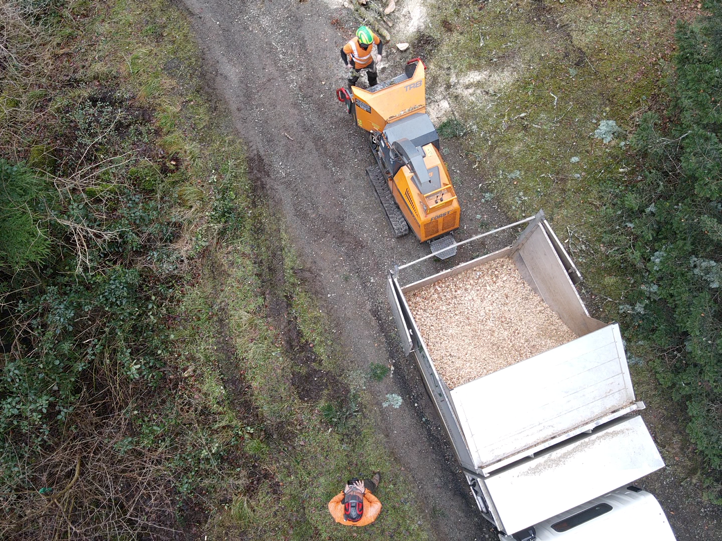 Aerial view of a tracked wood chipper loading fresh wood chippings into a metal trailer on a forest track.