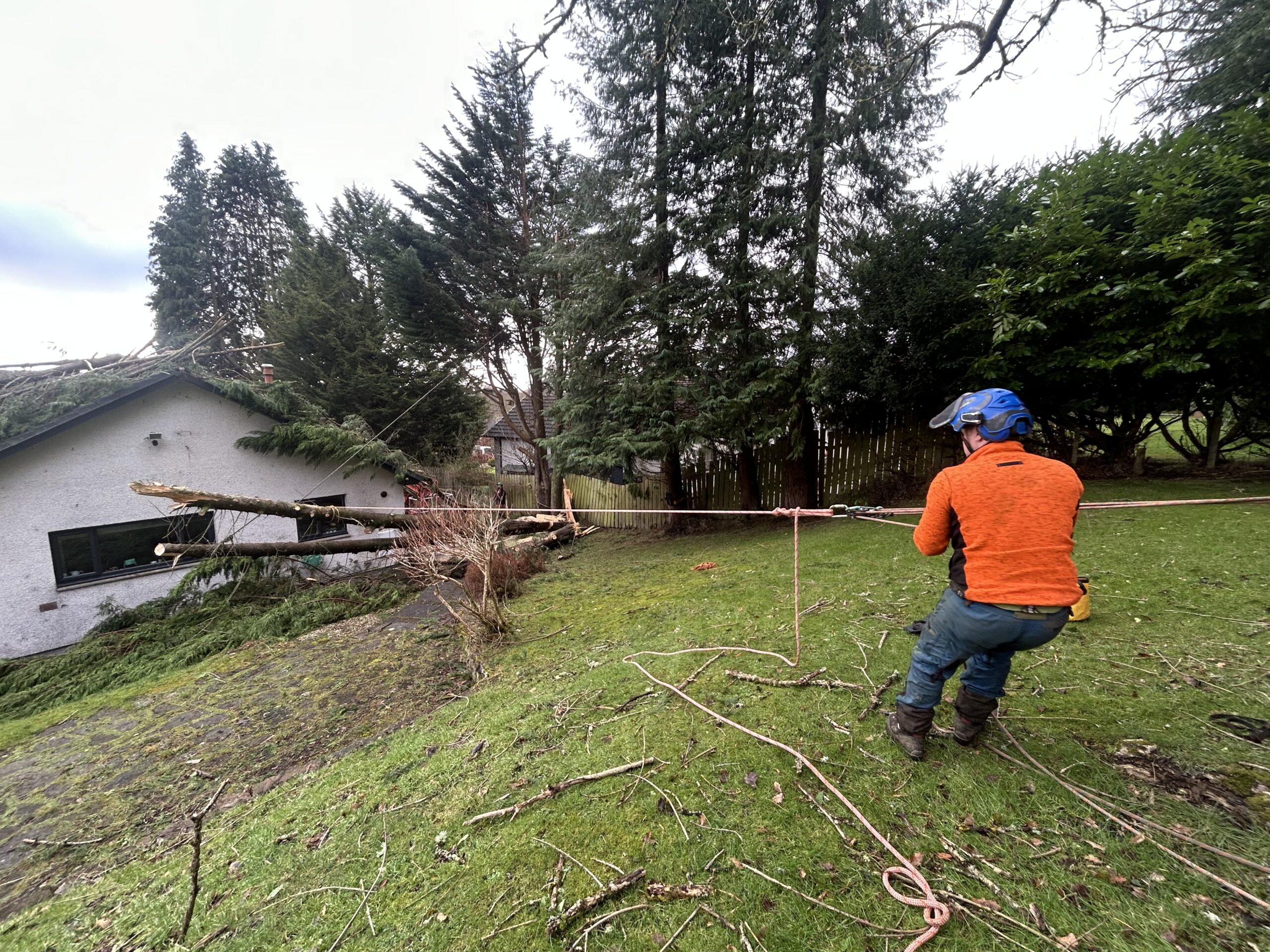 A tree surgeon in helmet and orange jacket rigging a rope while clearing storm-damaged trees near a house.