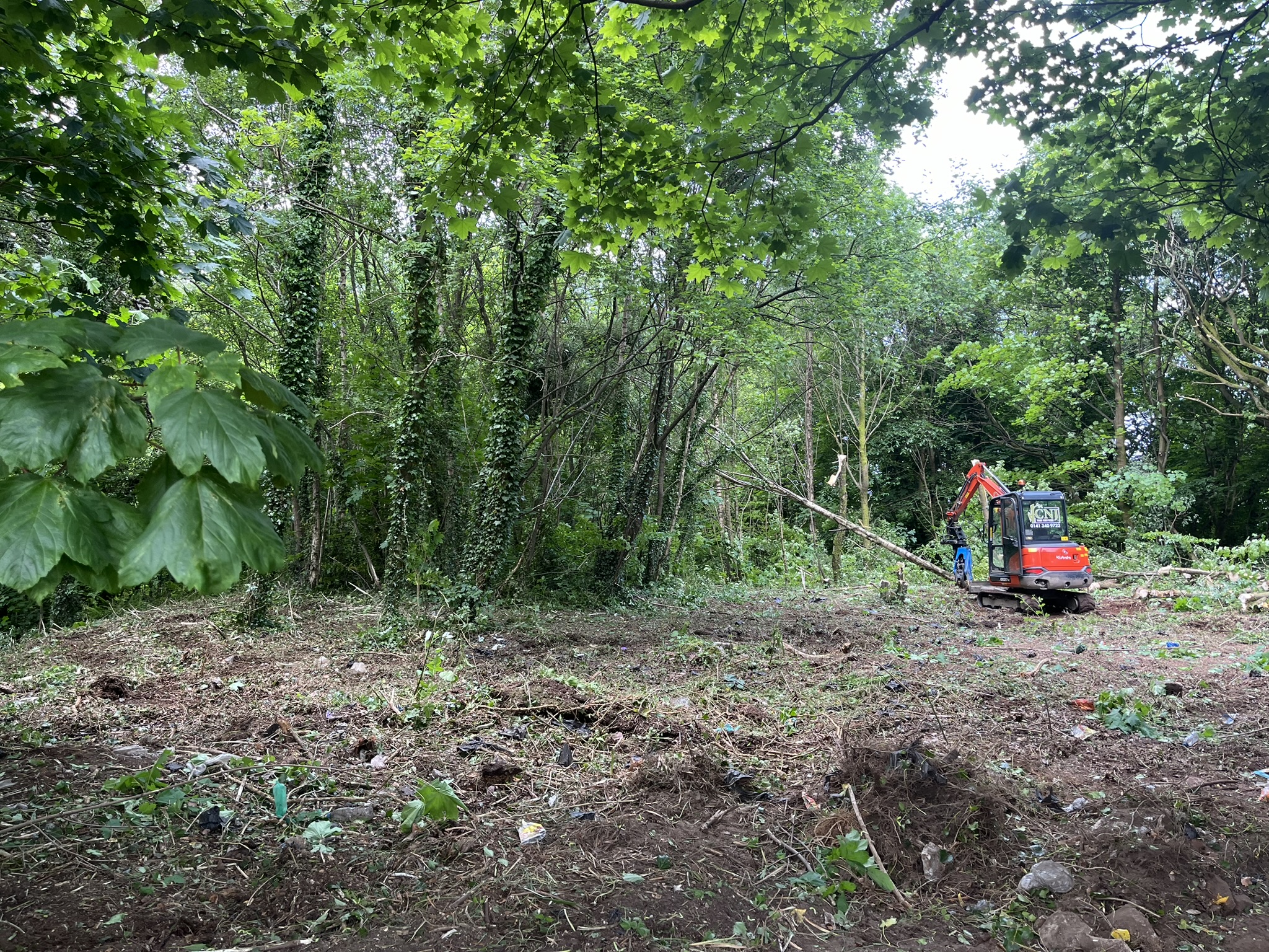 arborist-service-glasgow CNJ arborist carrying out tree service work in Glasgow
