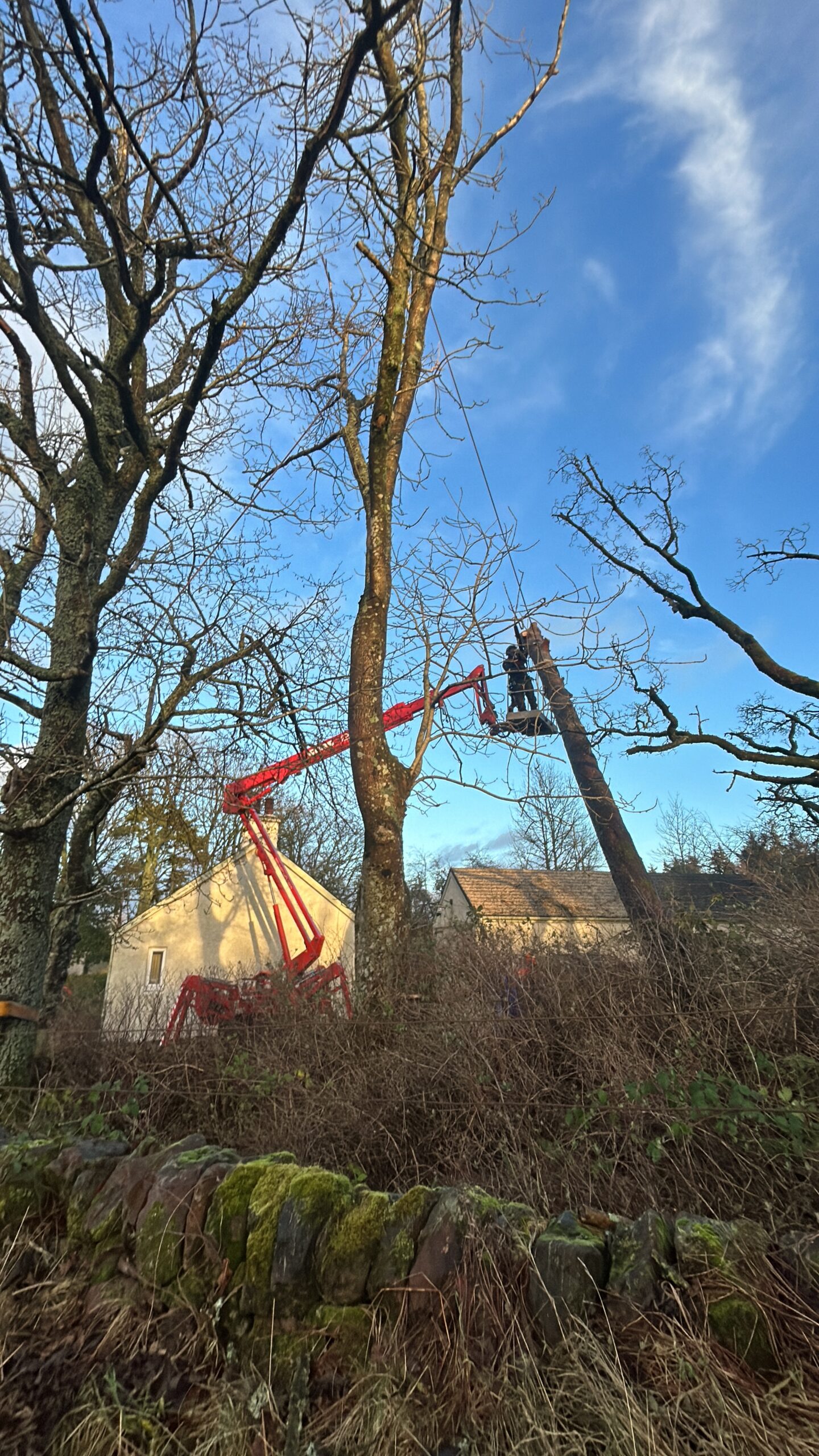 A cherry picker access platform is used to remove tree branches overhanging a stone cottage.