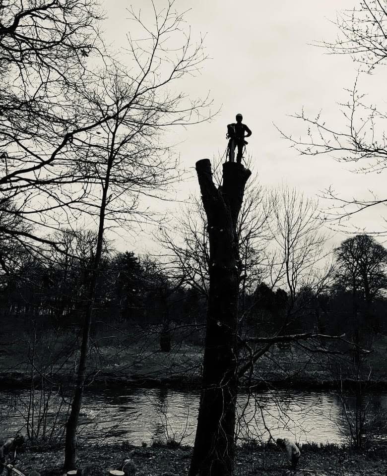 climber-standing-atop-dismantled-tree-trunk-by-river A black and white silhouette of a tree surgeon standing atop a sectionally dismantled tree trunk beside a river