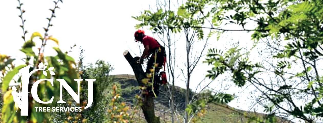 CNJ tree service banner.jpg