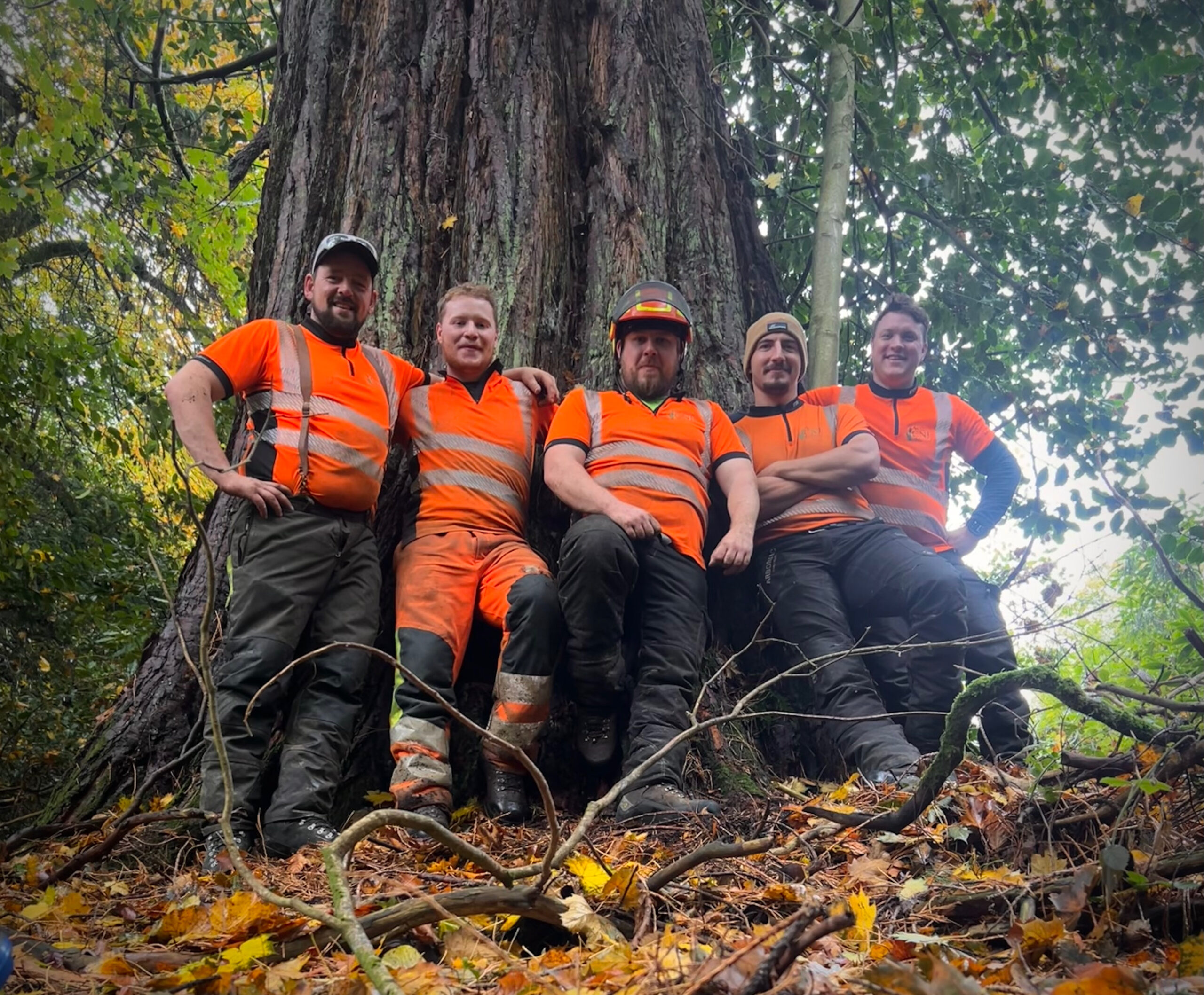 Gallery #15 Five tree surgeons in orange hi-vis workwear pose together at the base of a large tree.