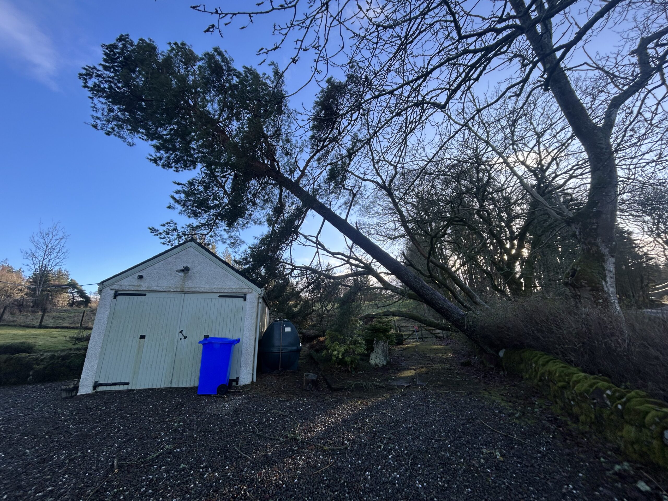 A wind-toppled conifer leaning precariously over a garage roof beside a bin and oil tank.