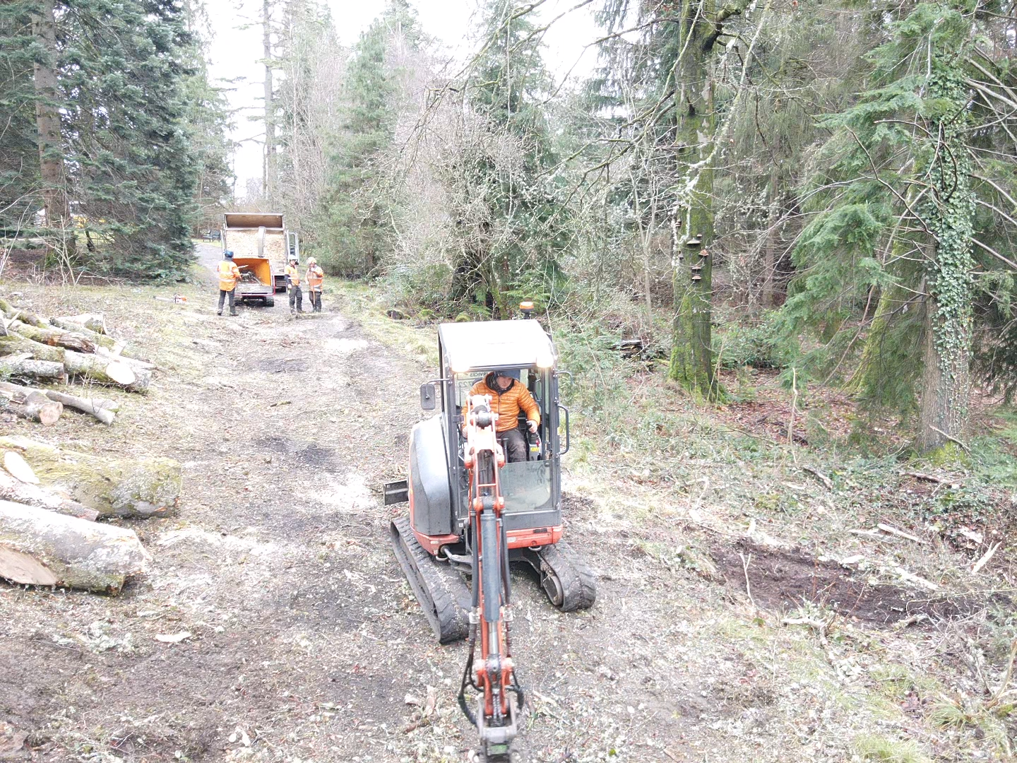 A tracked mini excavator with a grapple attachment moving along a forest track past a pile of cut logs and a wood chipper truck.