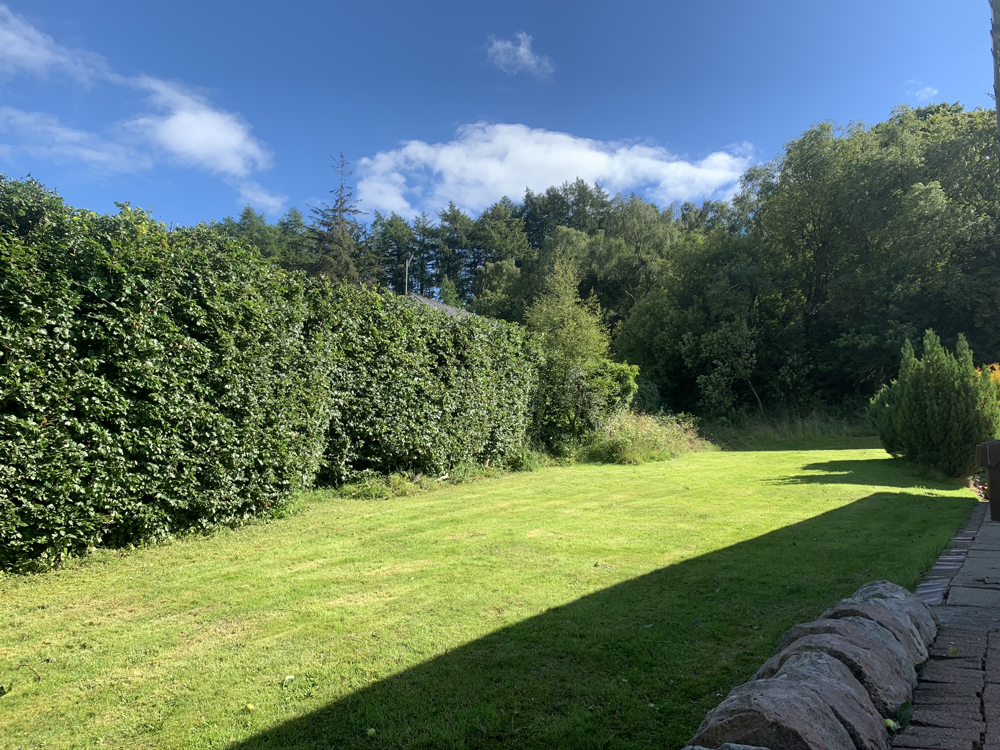 Gallery #30 A tall, neatly trimmed hedge running along the edge of a mowed garden lawn beside a stone wall.
