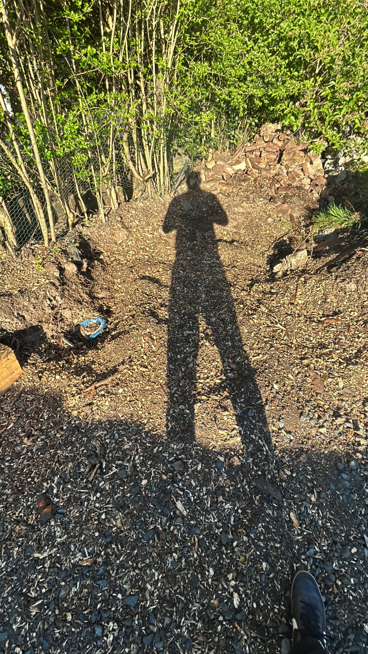 An overhead view shows a path covered in wood chip mulch after ground clearance work