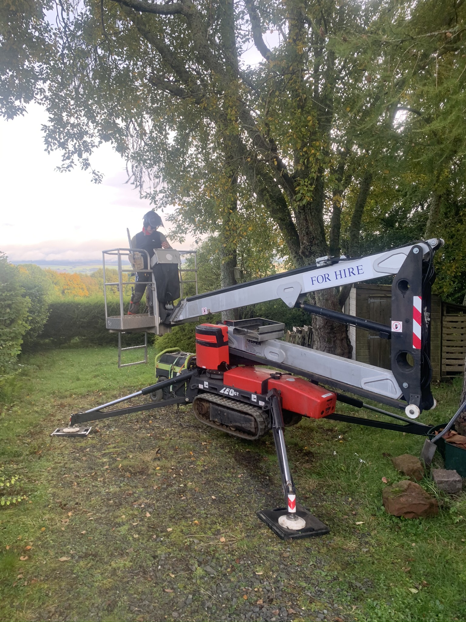 Gallery #34 An arborist working from the cage of a tracked spider lift platform positioned beneath a tree.