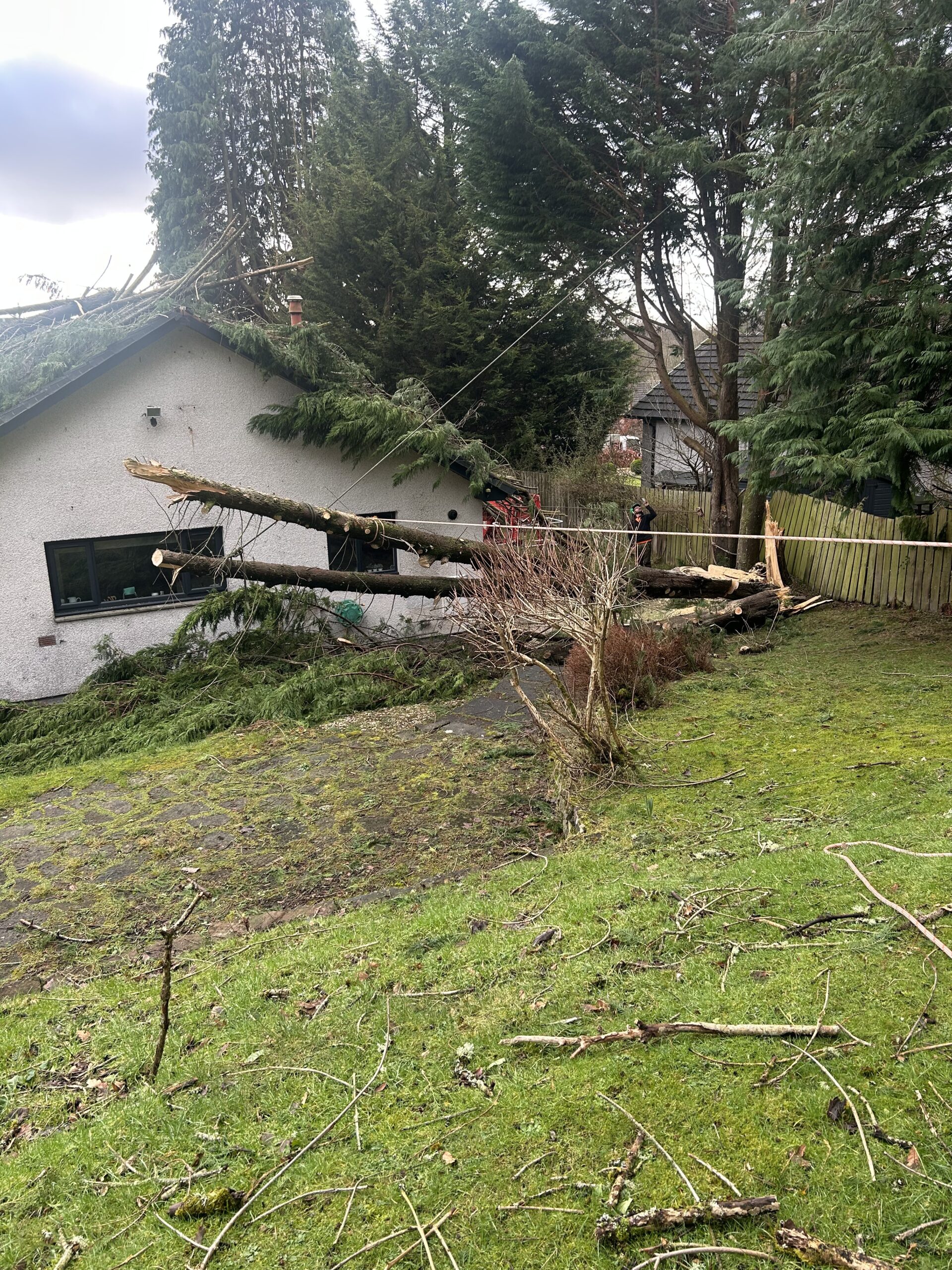 Large fallen trees resting on the roof and against the wall of a bungalow after a storm.