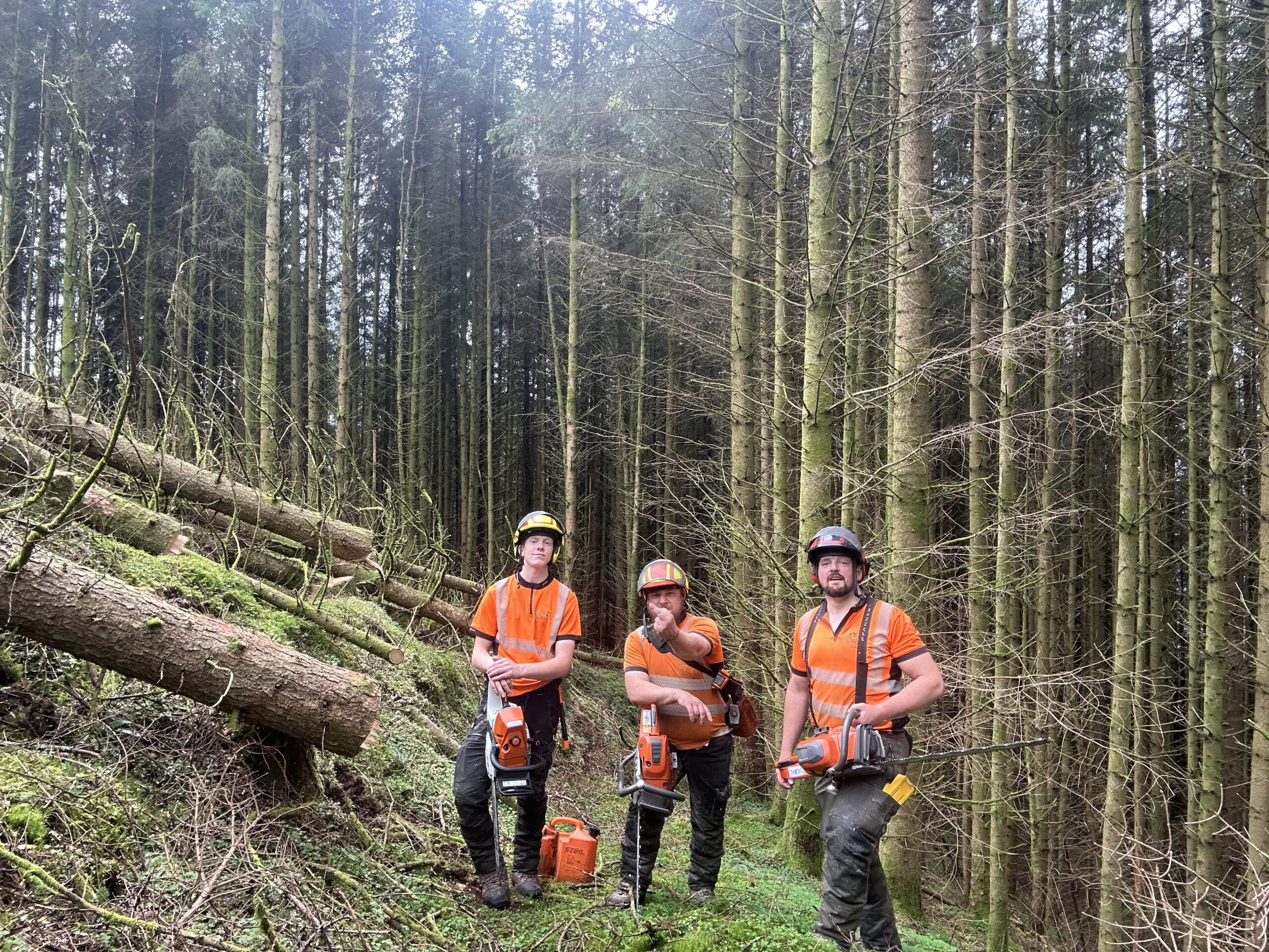 Three CNJ Tree Services crew members in hi-vis and helmets pose with chainsaws next to felled conifer logs in a forest.