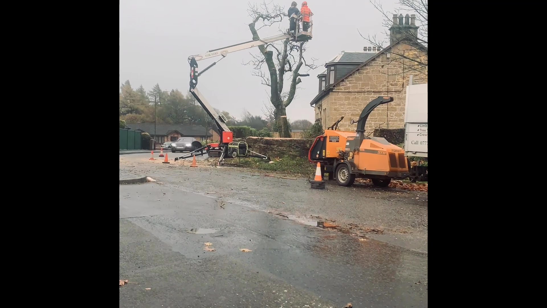Timelapse still of an ash tree removal in progress