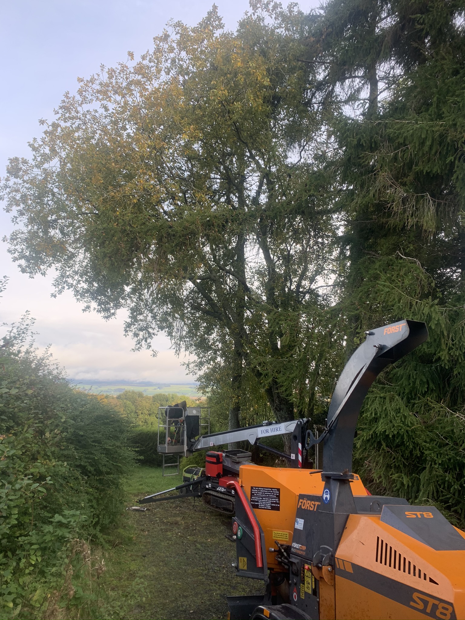 Gallery #45 An orange tracked wood chipper and a cherry picker platform parked beside tall trees on a hillside site.