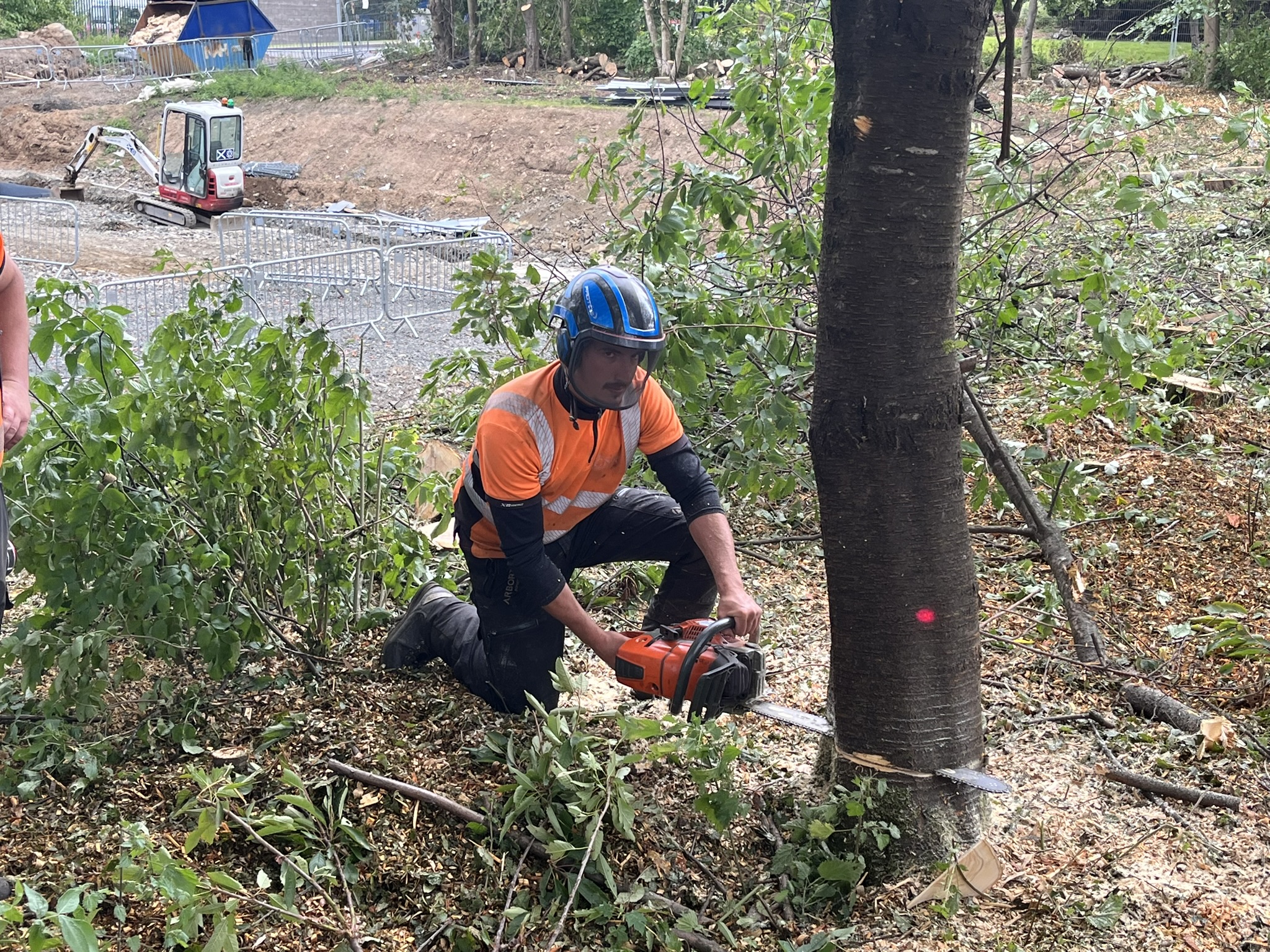 tree-surgeon-glasgow tree-surgeon-glasgow.JPEG