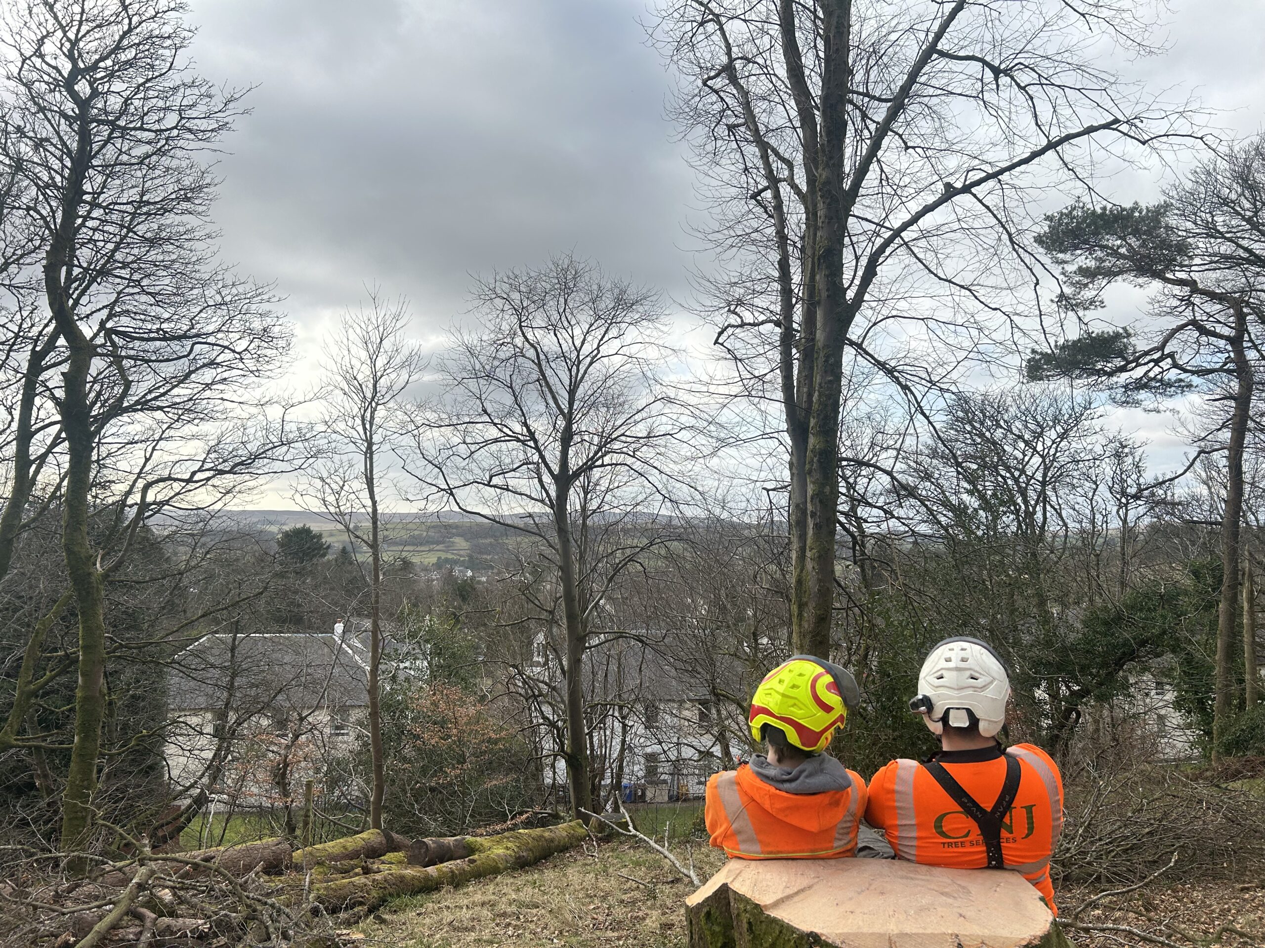 Gallery #53 Two tree surgeons in orange hi-vis and helmets sit on a freshly cut tree stump, taking in the view over a valley and village.