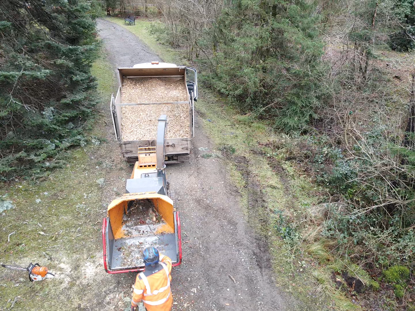 A wood chipper on a forest track feeds shredded wood chips into the back of a truck during tree clearance work.